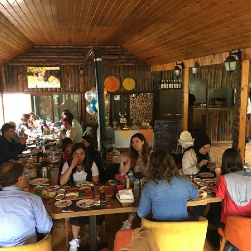 Doğum Günü & Organizasyon