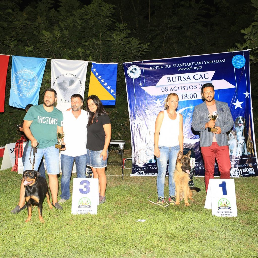 Doğum Günü & Organizasyon