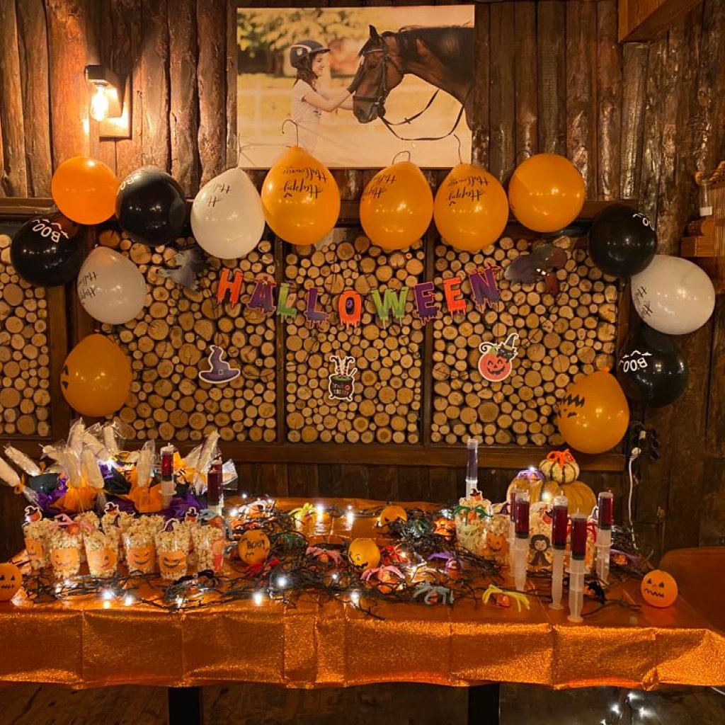 Doğum Günü & Organizasyon